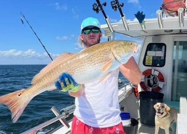 lower bay red drum