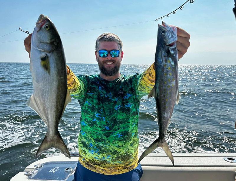 mix of bluefish and spanish mackerel