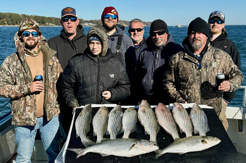 mixed catch of rockfish and bluefish