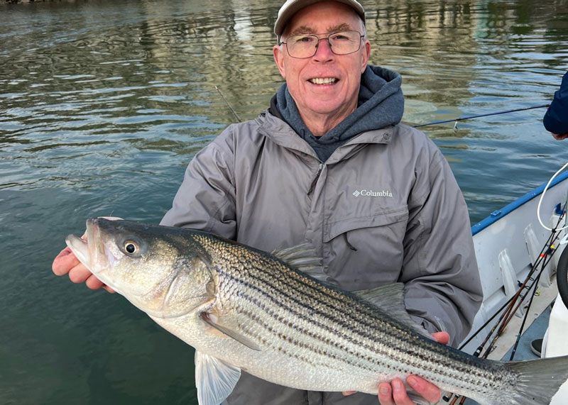 striper in the Potomac River