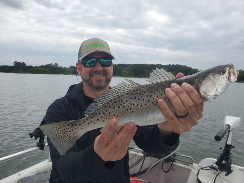 lower bay sea trout