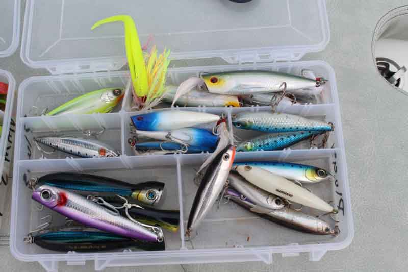 topwater and jigging lures for fishing