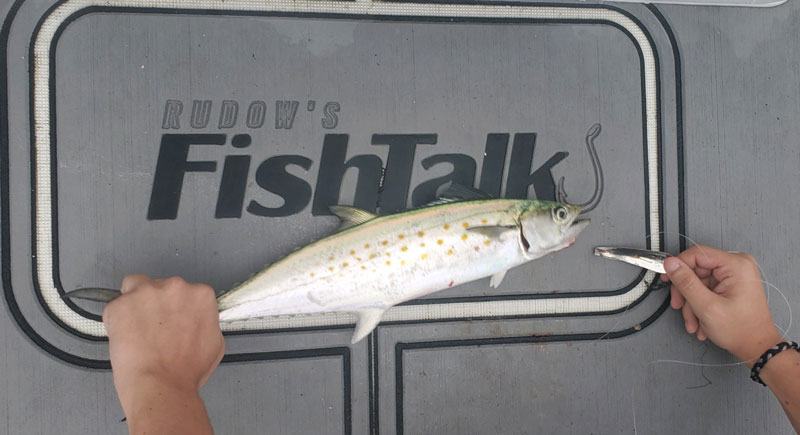 Casting For Spanish Mackerel