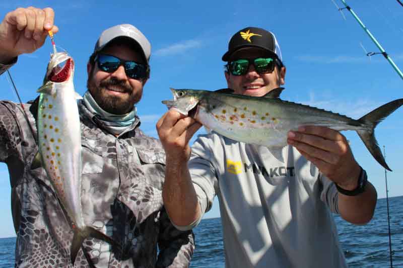 anglers hold up spanish mackerel