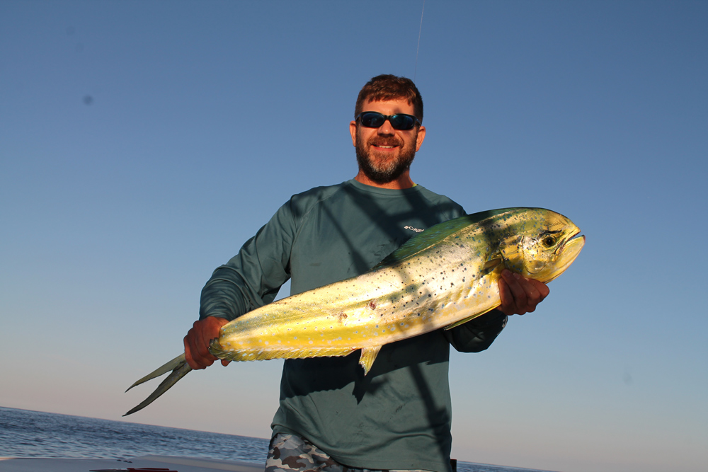 pound mahi mahi