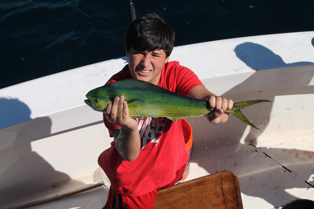 bailing for mahi