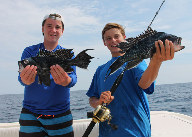 big black sea bass caught in the atlantic ocean