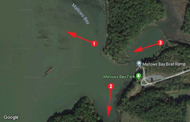 mallows bay fishing spots