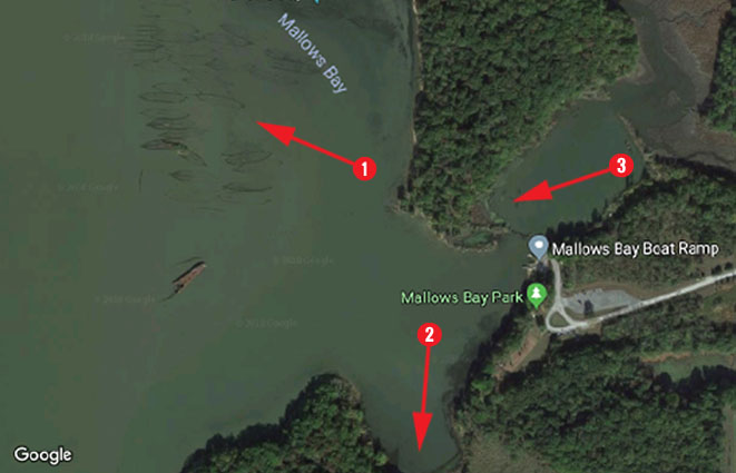 Kayak Fishing At Mallows Bay Fishtalk Magazine