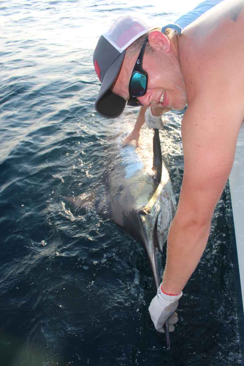 billing a blue marlin