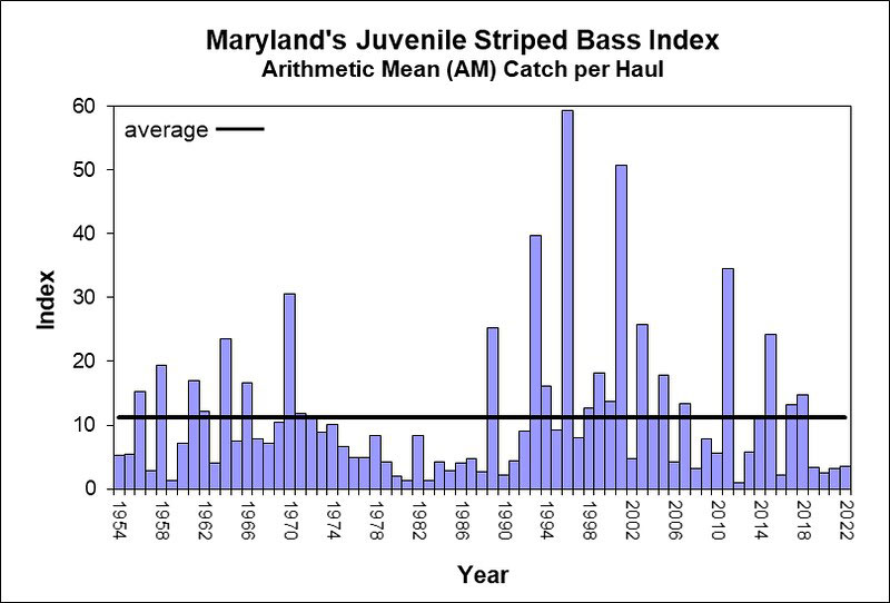 maryland juvenile striped bass index