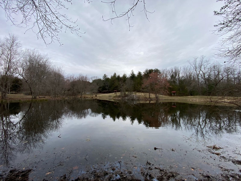 public pond fishing