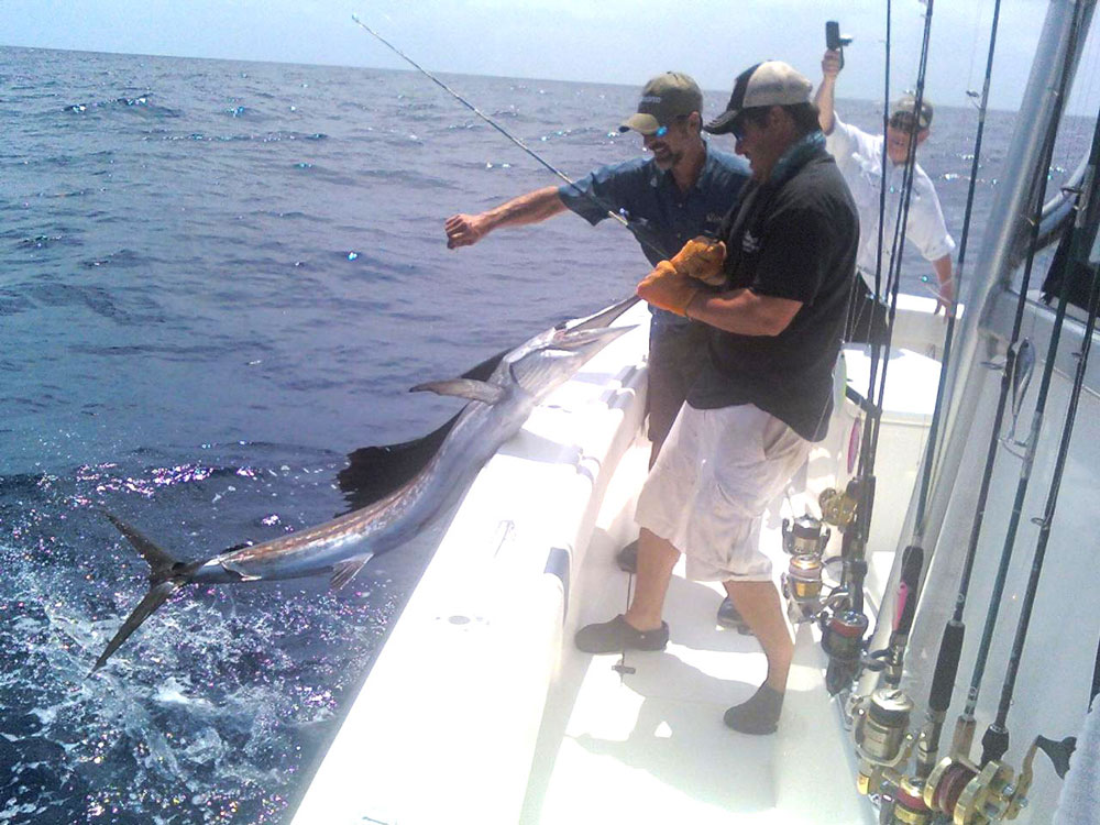 sailfish fishing miami florida
