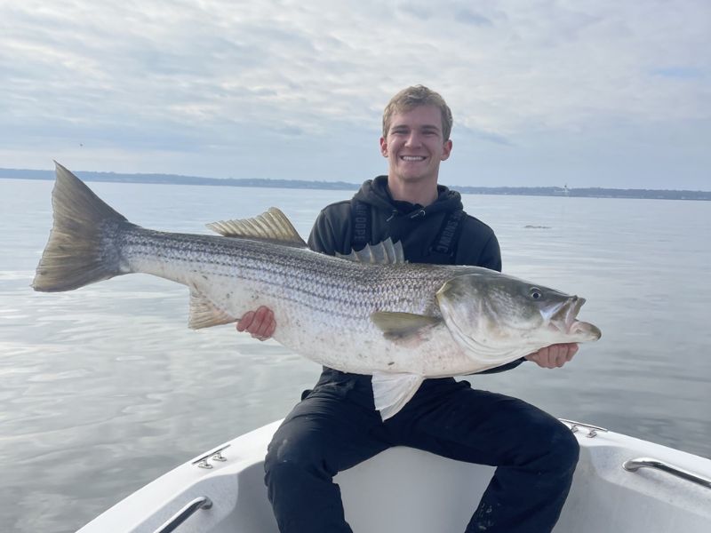 trophy striped bass fishing chesapeake bay