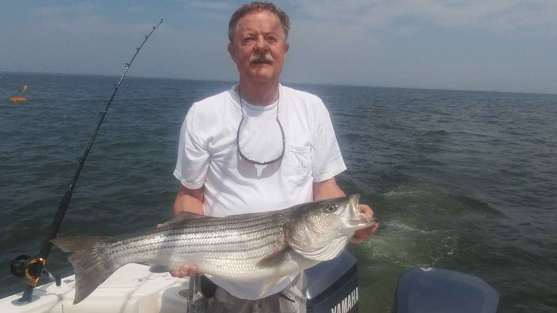 rockfish on the bay