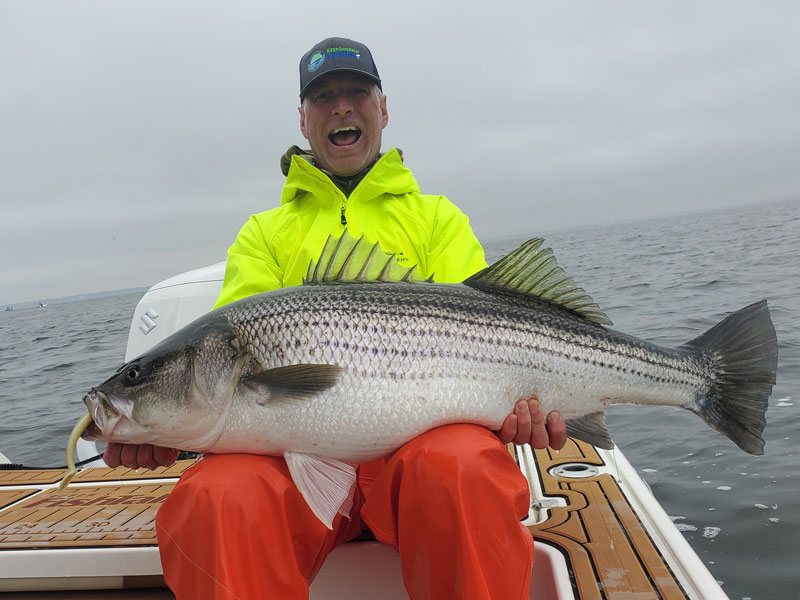 trophy rockfish in the mid bay