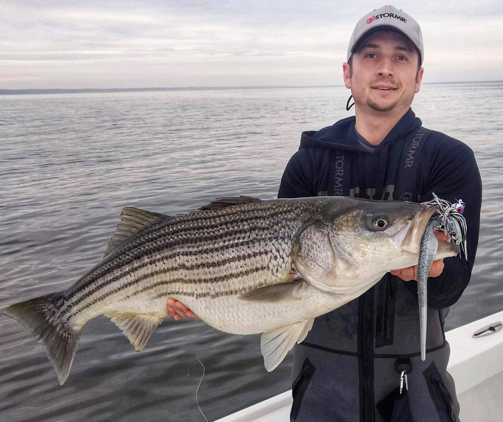 chesapeake striper