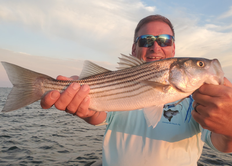 Middle Chesapeake Bay fishing Report, July 2021