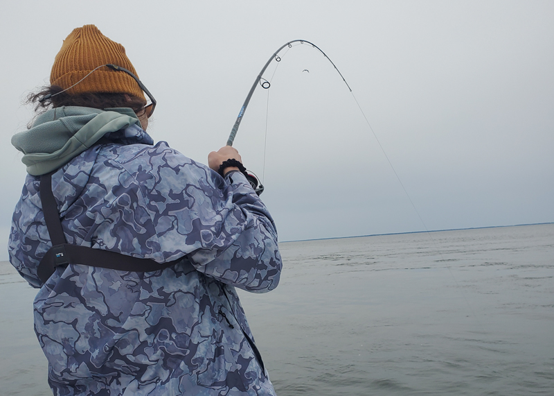 middle bay fighting a fish