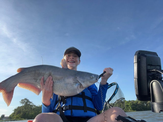 big blue catfish in the west river