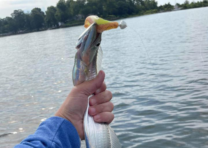 Fishing With ONLY Red White & Blue Lures For 24 HOURS (4th Of July) 