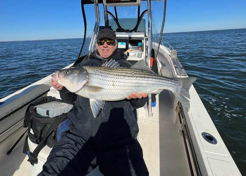 Middle Chesapeake Bay Fishing Report, January 2024