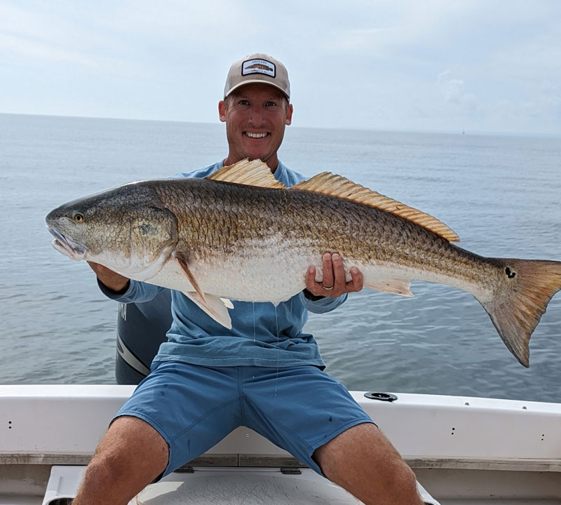 red drum in middle chesapeake bay