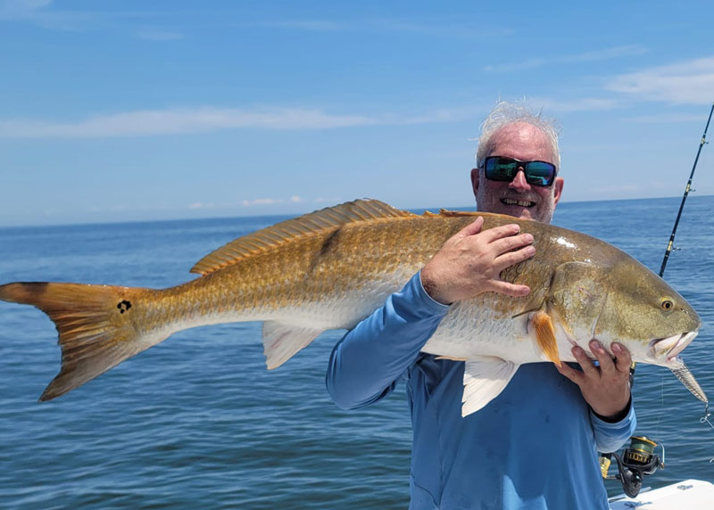 big bull redfish near solomons