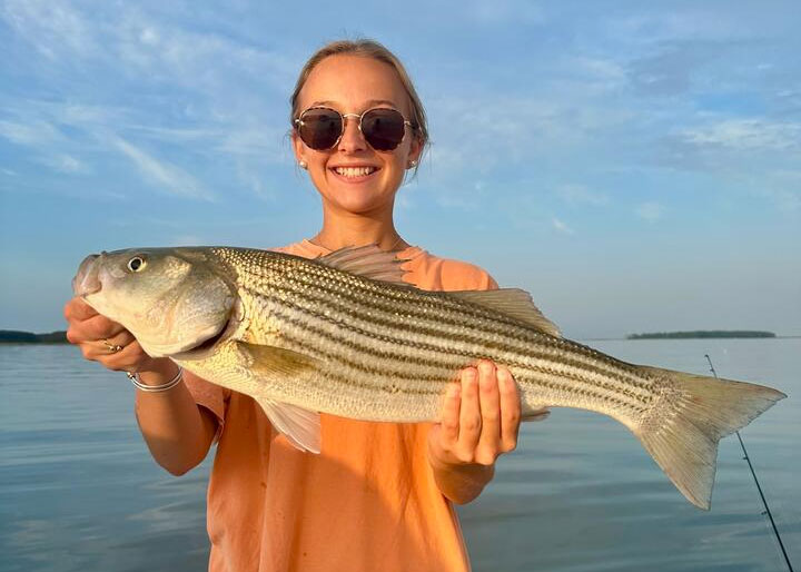 stripers are biting in the middle bay
