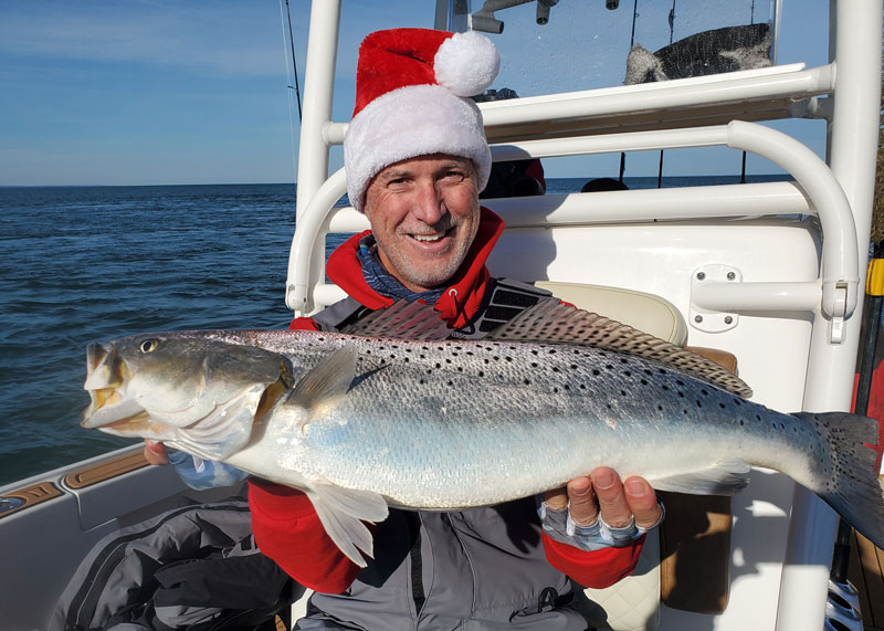 big winter speckled trout in the Chesapeake