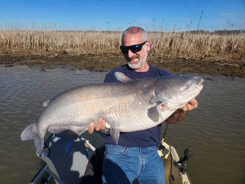 Weekly Fishing Report - Reel Chesapeake