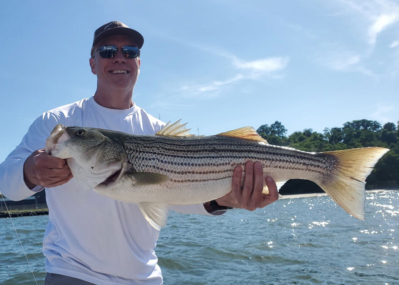 middle bay striper fishing