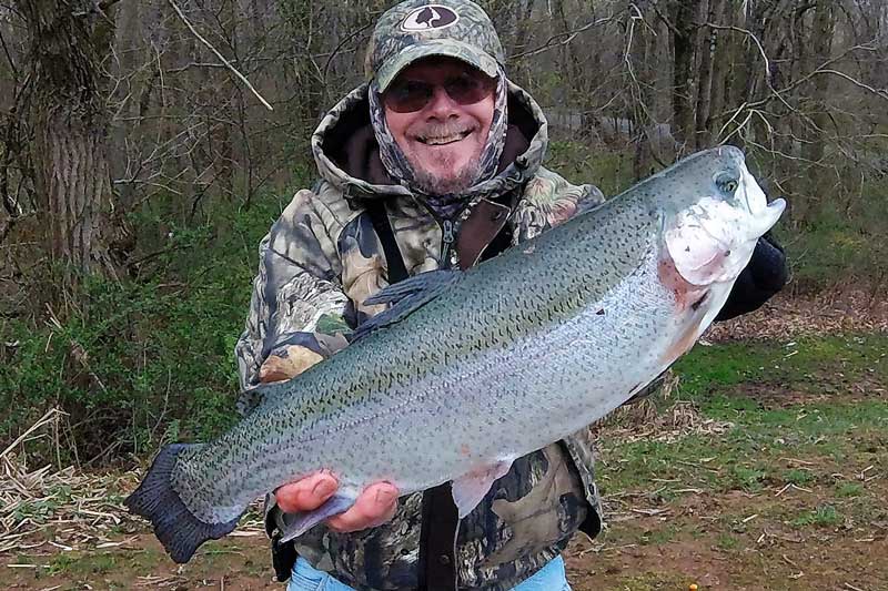Big trout in ponds 