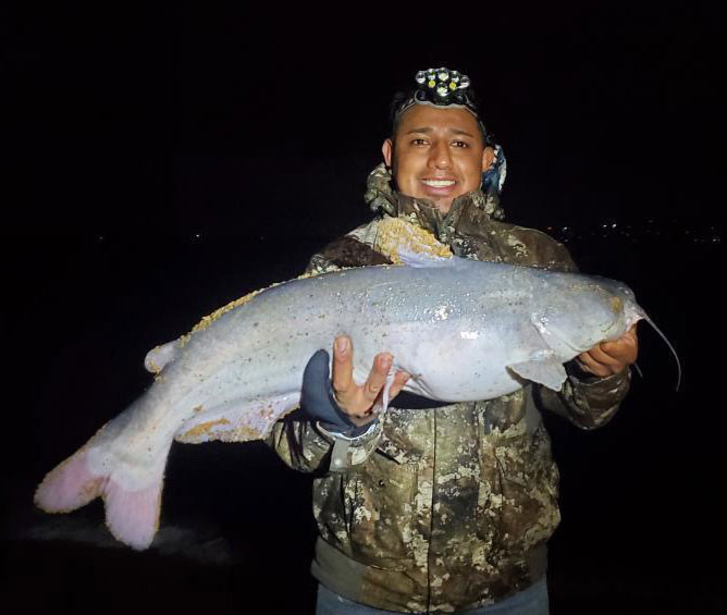 blue catfish caught at night in upper chesapeake bay