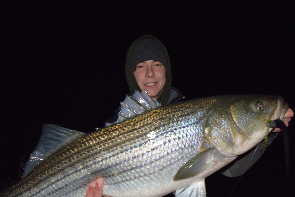 Rhode Island Striped Bass: Nighttime Fishing Perks Up