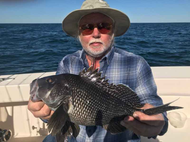 sea bass fishing 