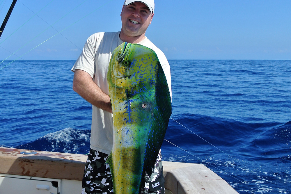 a big mahi caught trolling offshore