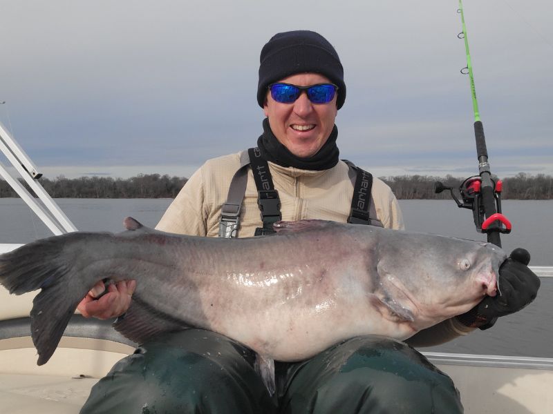 Blue catfish fishing trophy fish