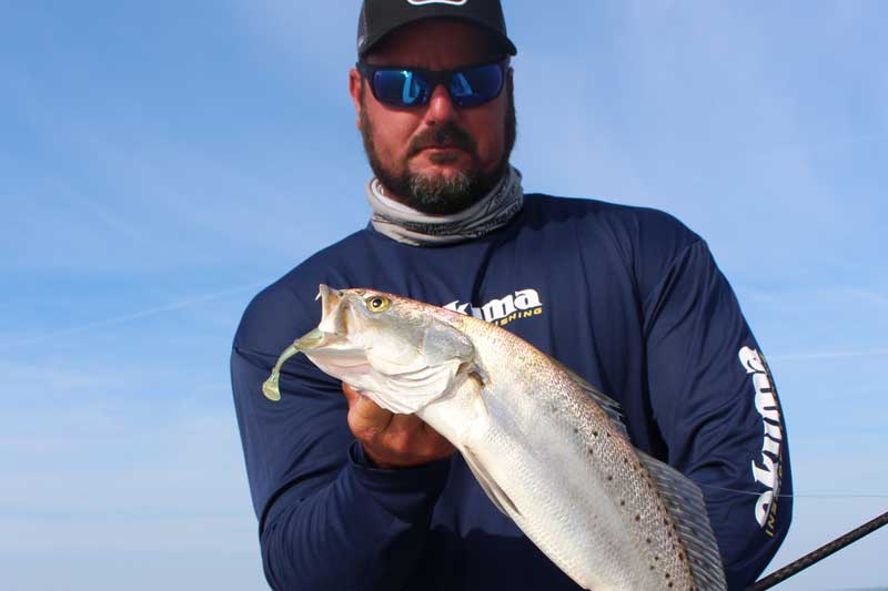 speck on a paddle tail lure