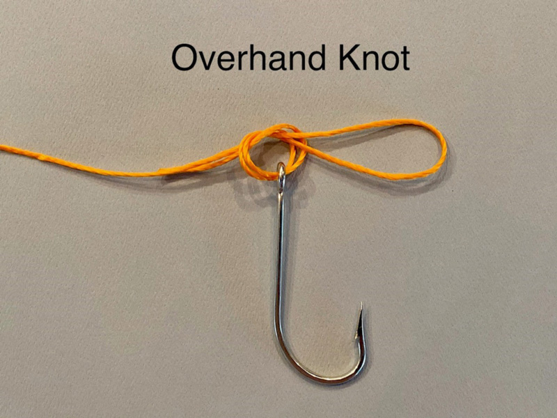 tying a palomar knot