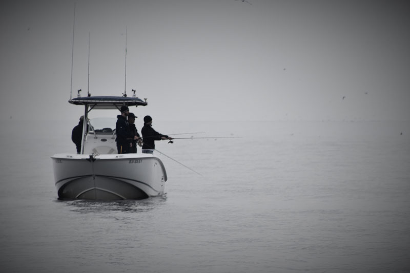 fishing from a boat on a calm day