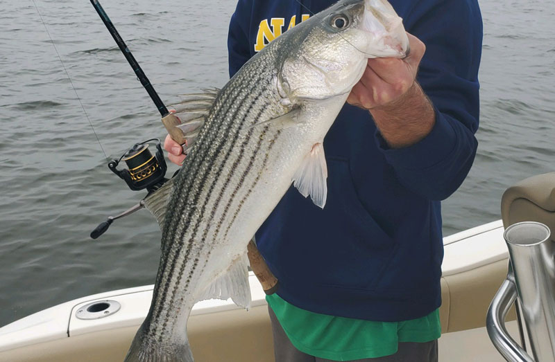penn battkle fishing reel