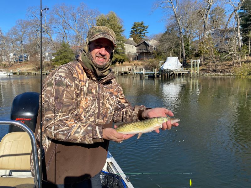 pickerel fishing chesapeake bay