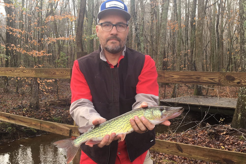 fishing planet emerald lake trophy pickerel