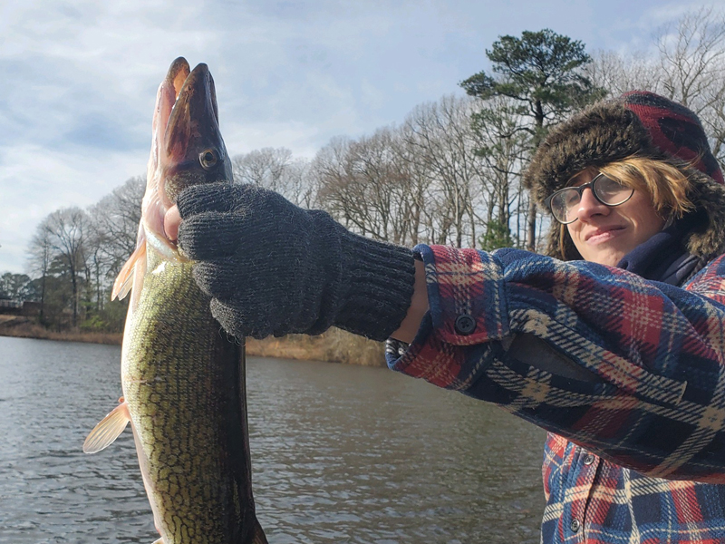 fishing for pickerel