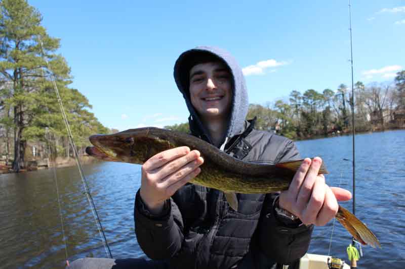 angler holds up a pickerel