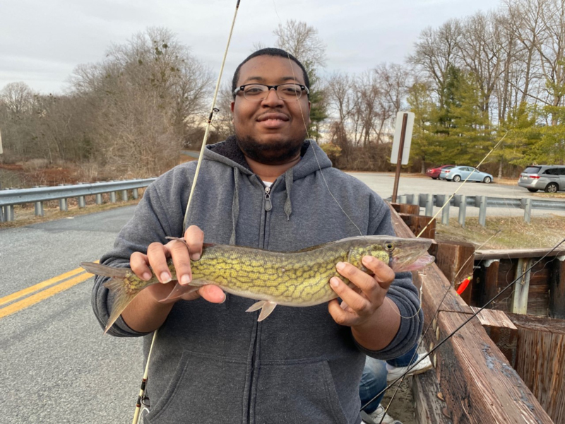 bridge fishing for pickerel