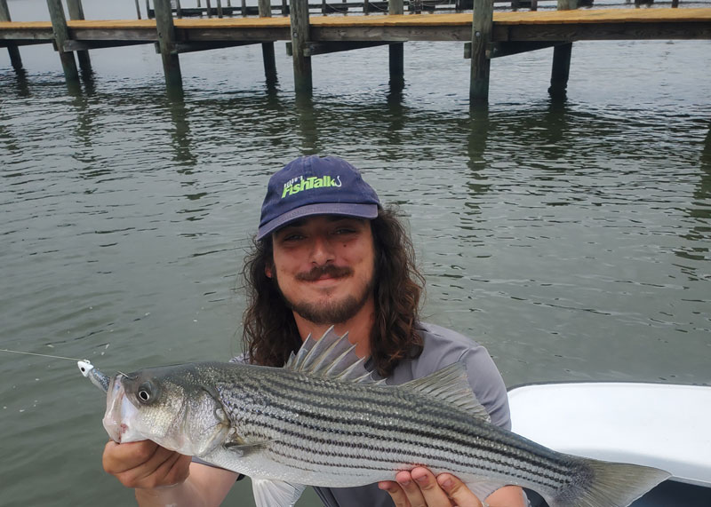striped bass under piers