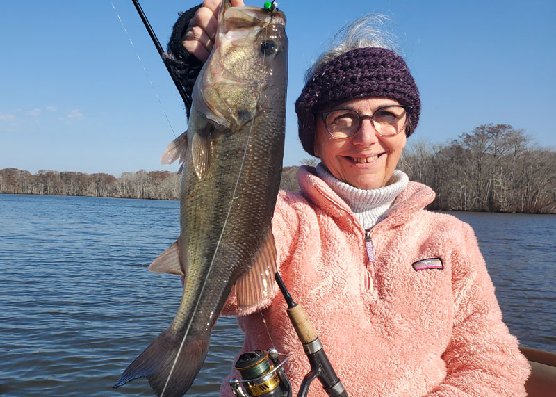 largemouth bass caught in chesapeake tributary