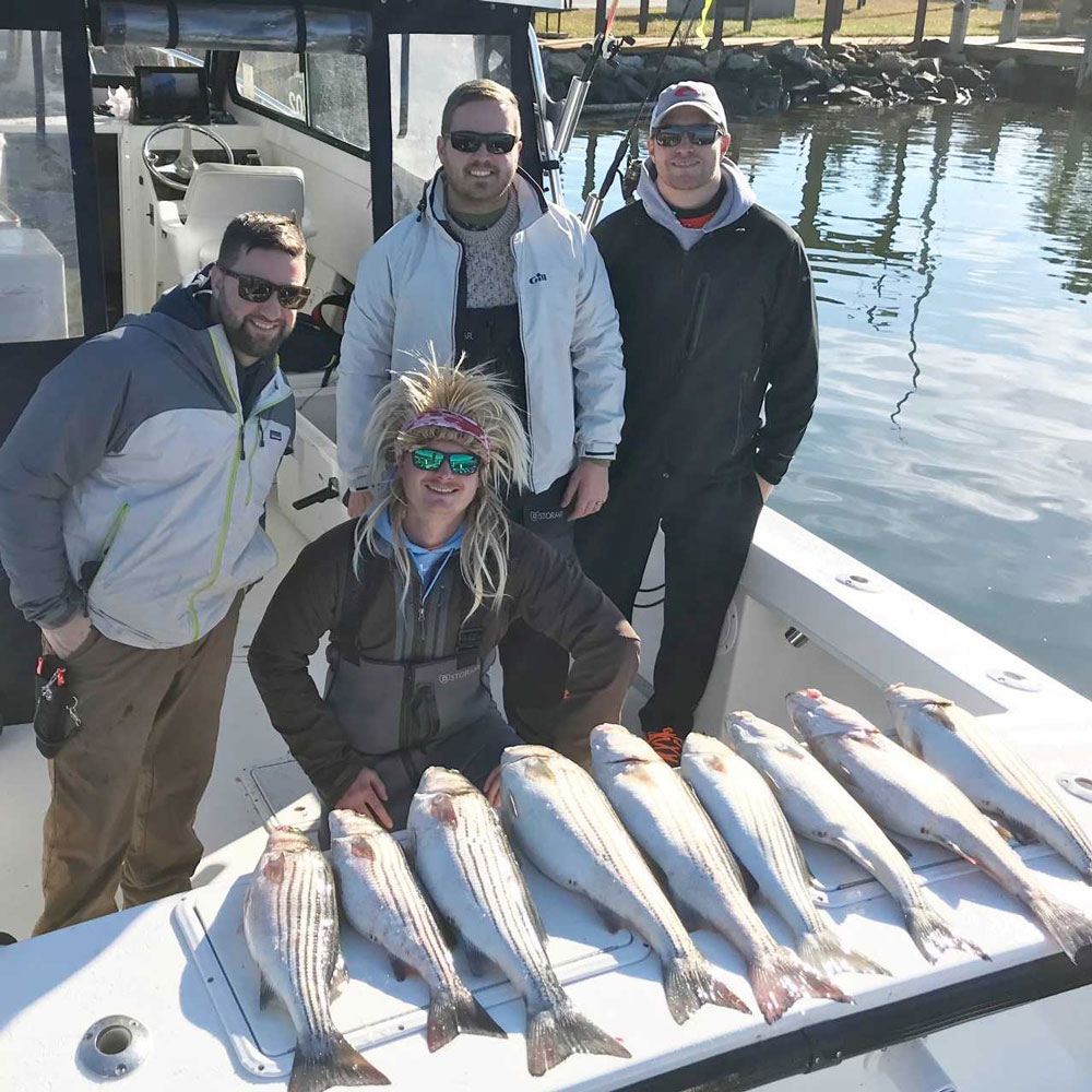 striped bass at point lookout